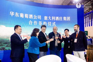 2019青島國際葡萄酒及烈酒博覽會圓滿落幕 商務信息咨詢回顧與展望
